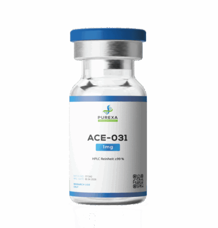 ACE-031